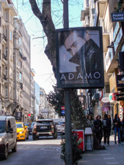 美しい視線いっぱいの通り～☆～