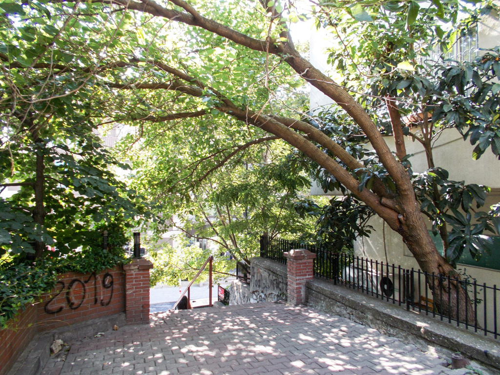 木漏れ日の階段