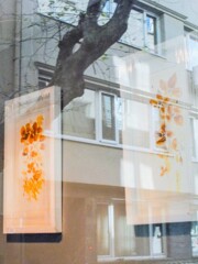 光り　１ひら～２ひら～