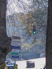 早春の朝陽～✨～