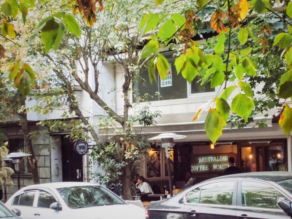 記憶の一片～～