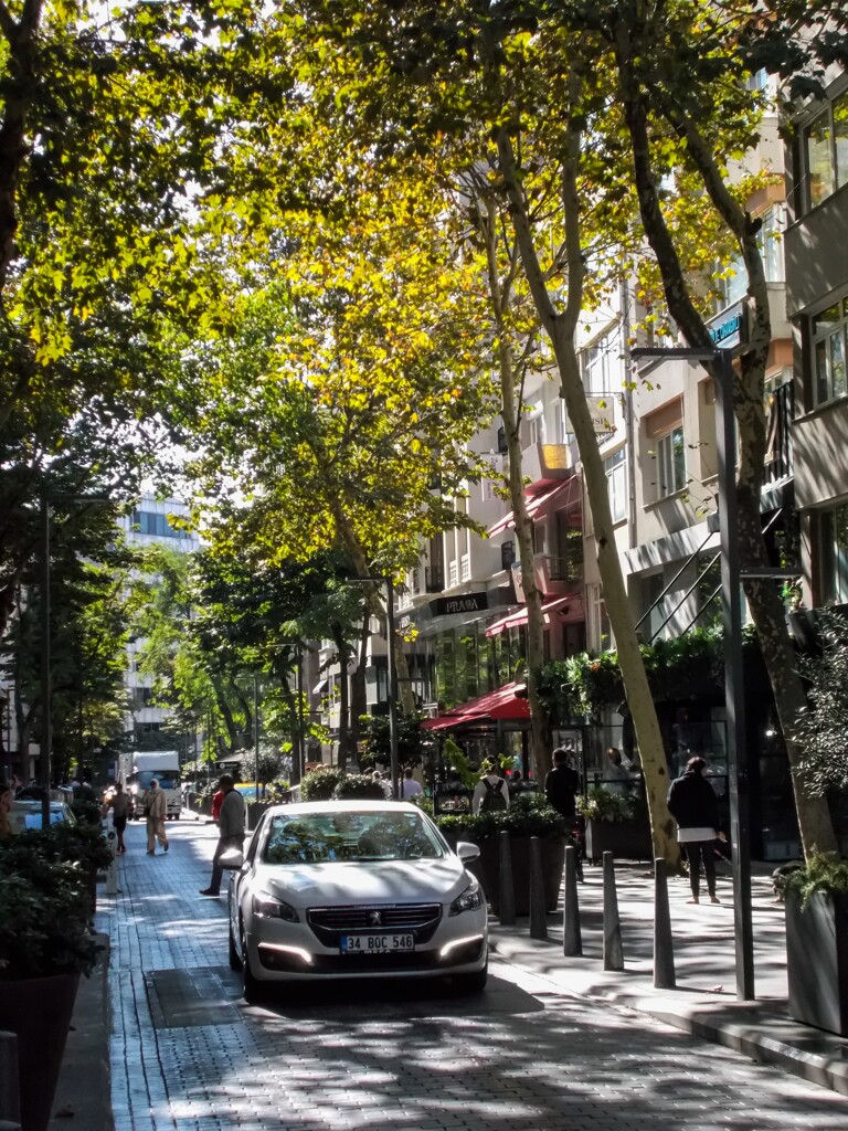 真新しい１日が始まる～♪