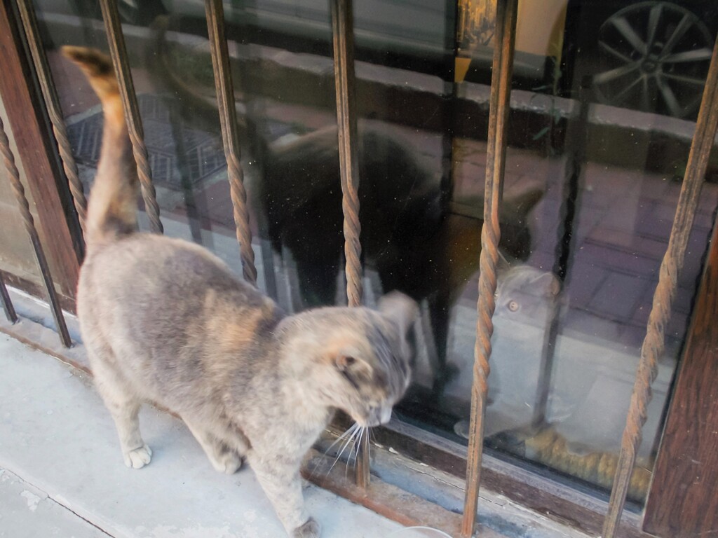 お外の先輩…！♡！