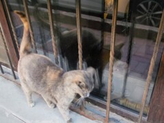 お外の先輩…！♡！