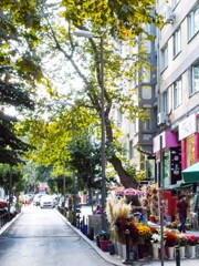 街路樹のプラタナスも色付き始めました…