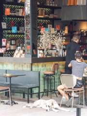 散歩じゃなかったの？　ひま～～