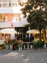 青紫色が　生きてる哀しさ…思わせた…