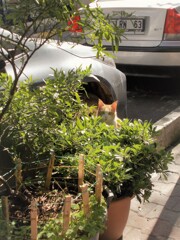 かくれんぼ～　見～つけた～♪