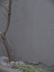 萎れて…捨てられて…