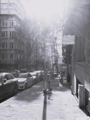 ”冷たい水の中の小さな太陽”