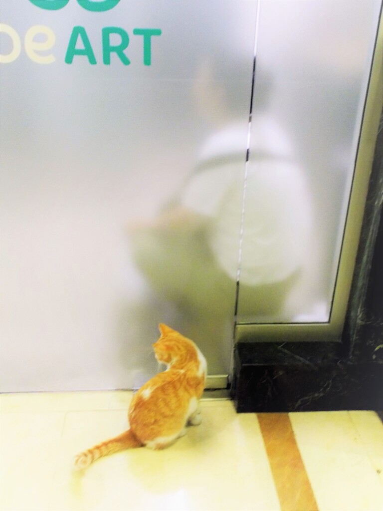 だーい好きニャお姉さん～♡～①