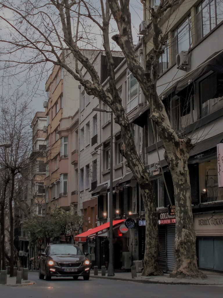 帰ろう～　還ろう～