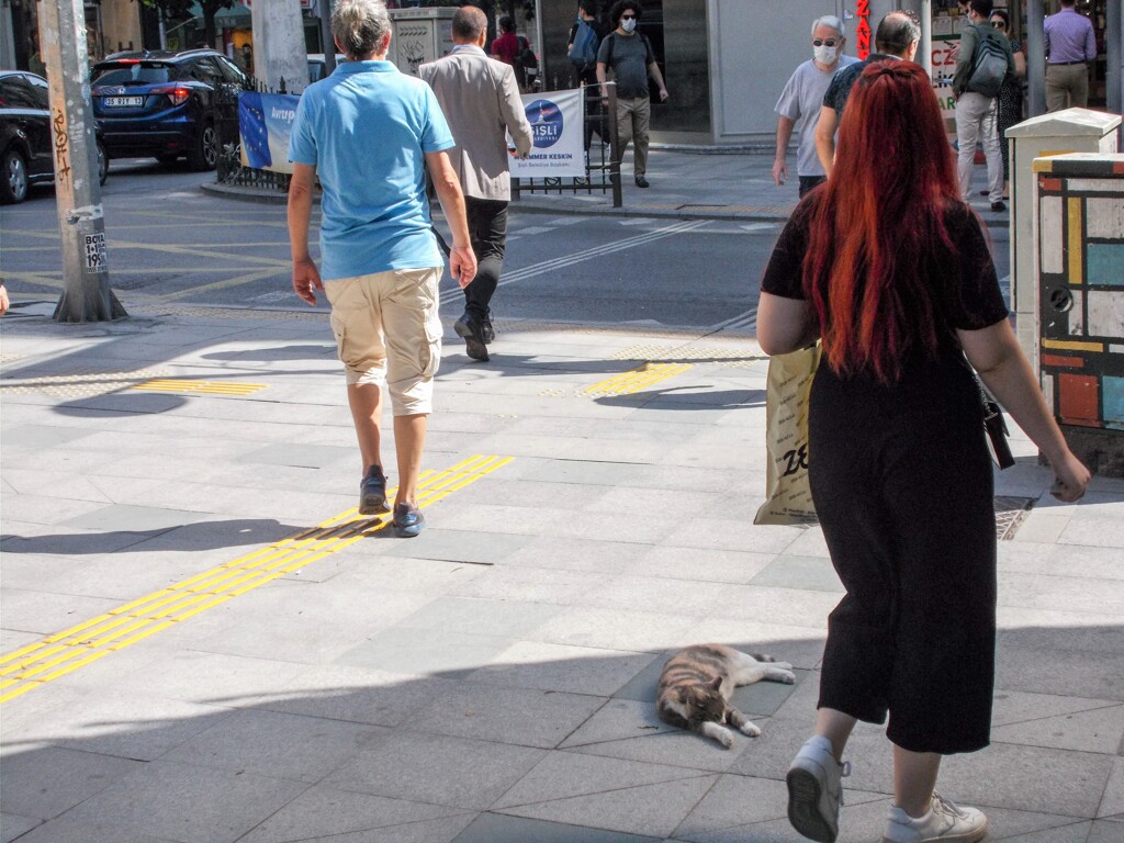 ２度ニャ坊～～.。o○