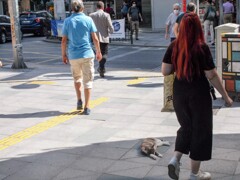 ２度ニャ坊～～.。o○