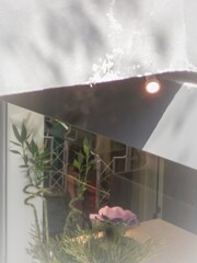 片隅の淡春～❀