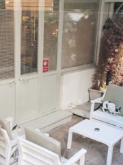 口うるさそうなニャン～