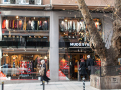 大樹と日々の暮らし～