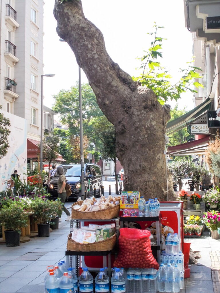 伴に営んできた生活～♡
