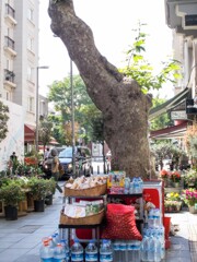 伴に営んできた生活～♡