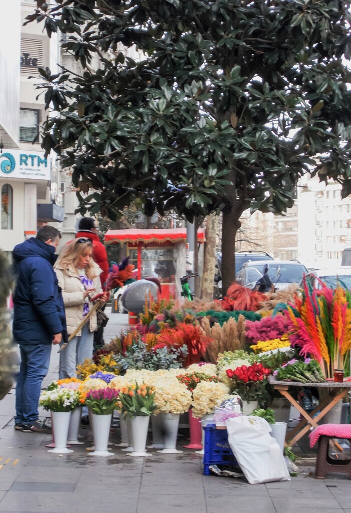 愛猫に猫じゃらしを選ぶ～”ねぇ　この子になのよ～♡”　22022022