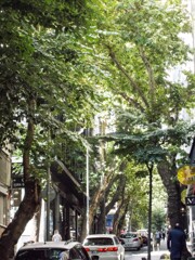 渋滞を避けて入った横道も渋滞・・・