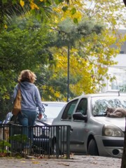 マイペースでニャン道を行く～