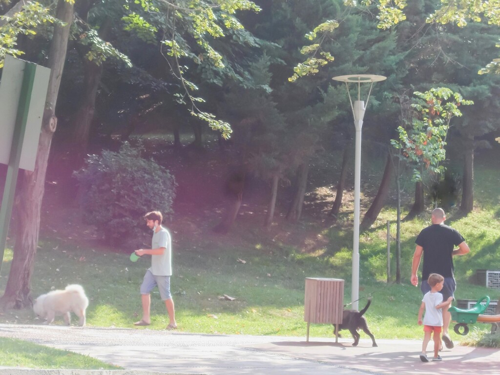眩しかった夏の名残～～✨