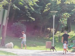 眩しかった夏の名残～～✨