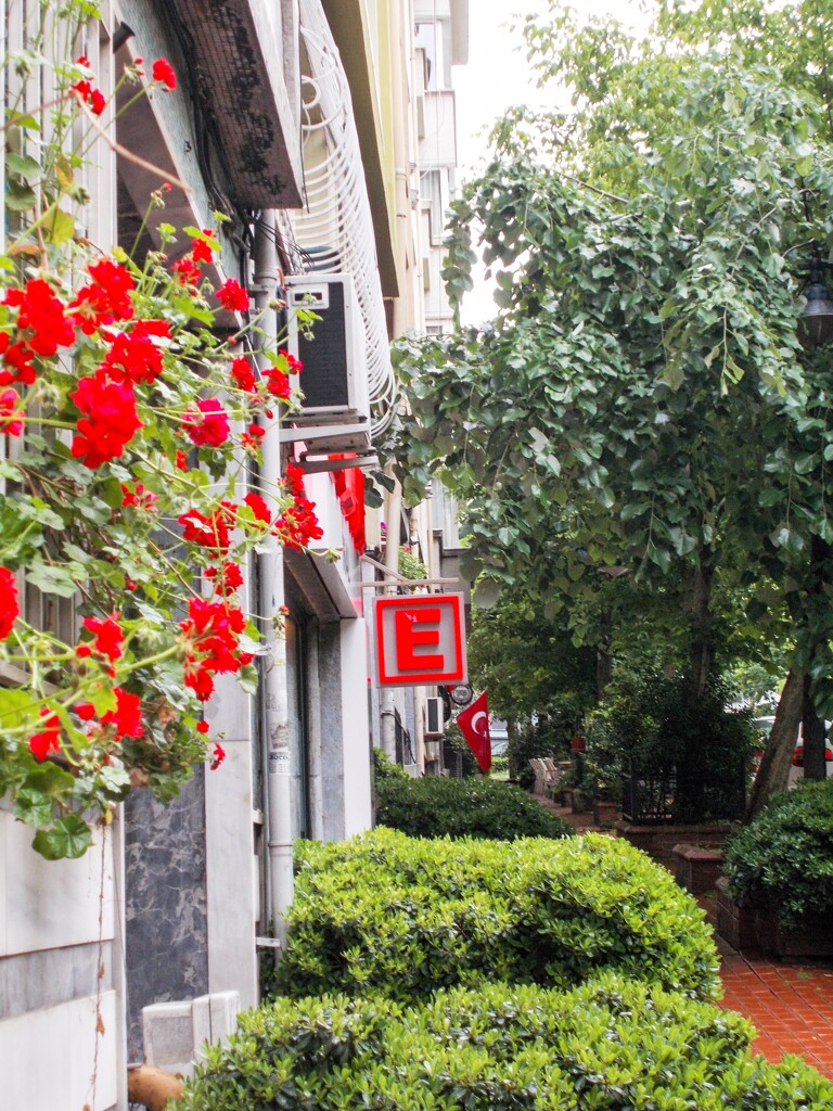 赤い道しるべ…