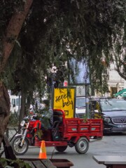 ビックリ箱＊！＊