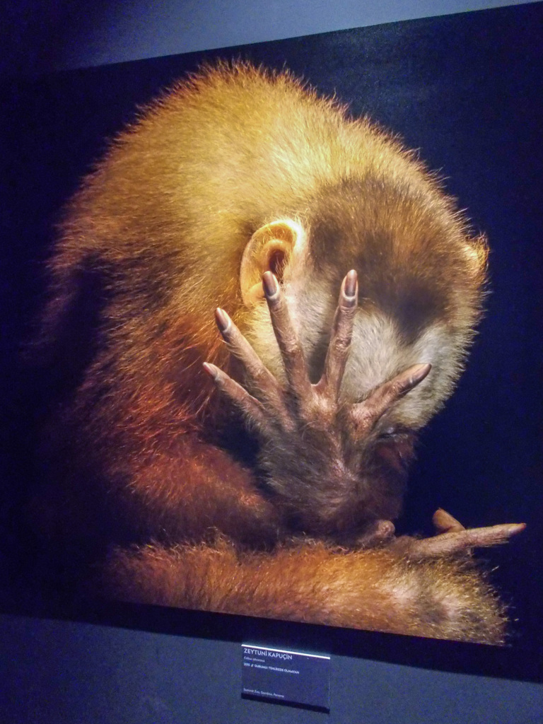 何て美しい手！♡！