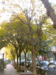 全てをグレイゾーンに委ねる季節に…？