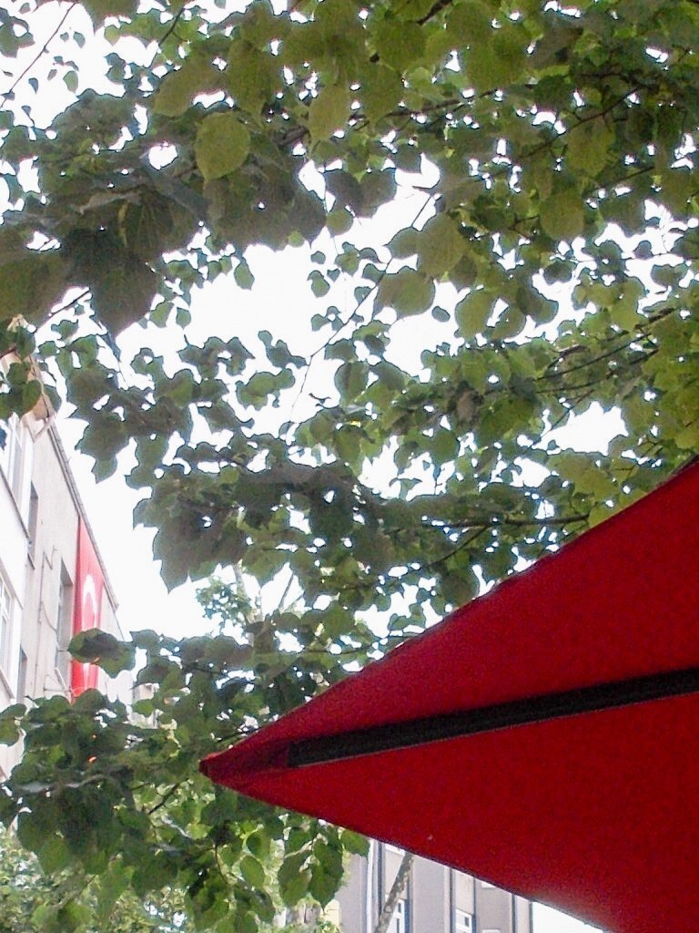 ちょっと　待って…！