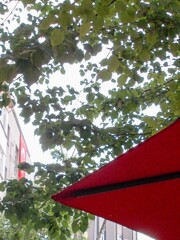 ちょっと　待って…！