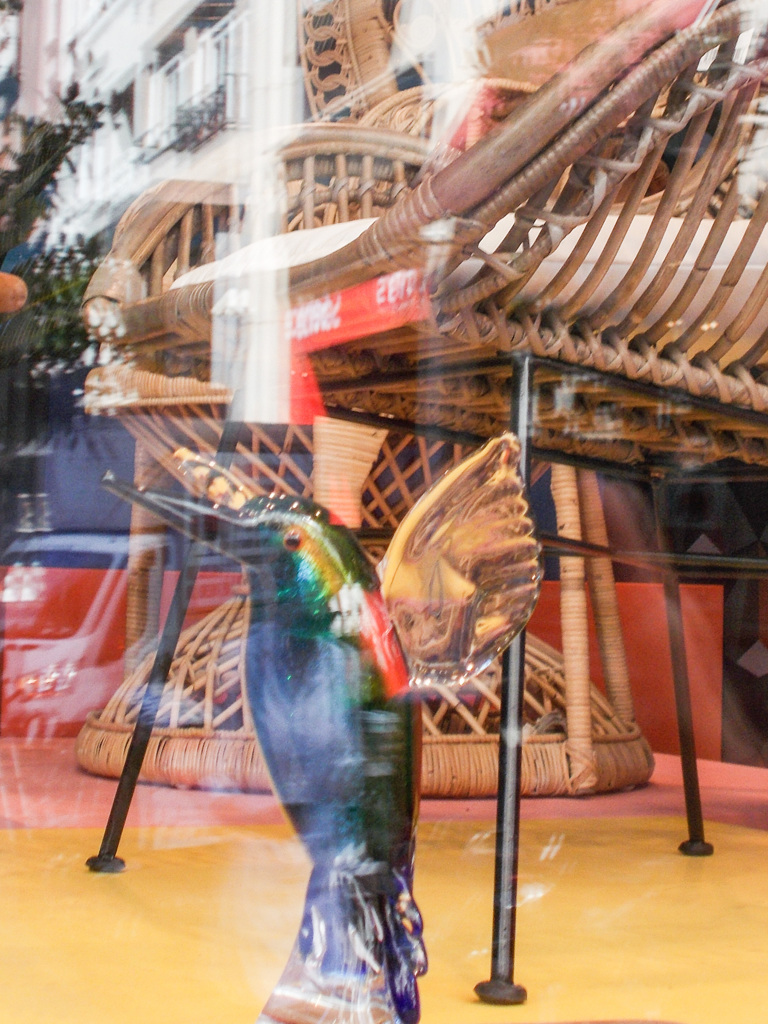 飛べないガラスの鳥