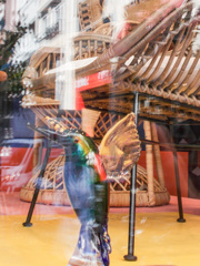 飛べないガラスの鳥