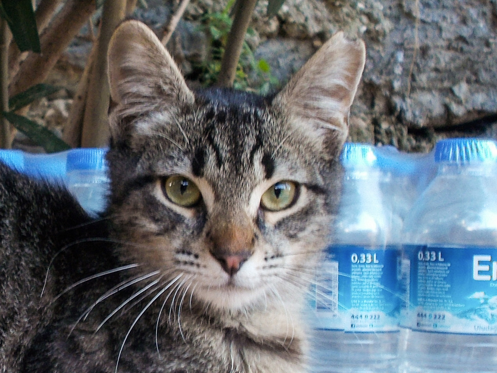 出会った子～　こんにちは♡～