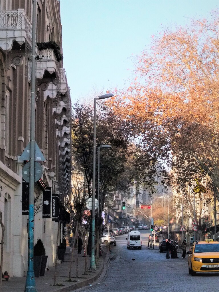 全身の骨が粉々になっちゃう恐怖の石畳の車道を走る～！