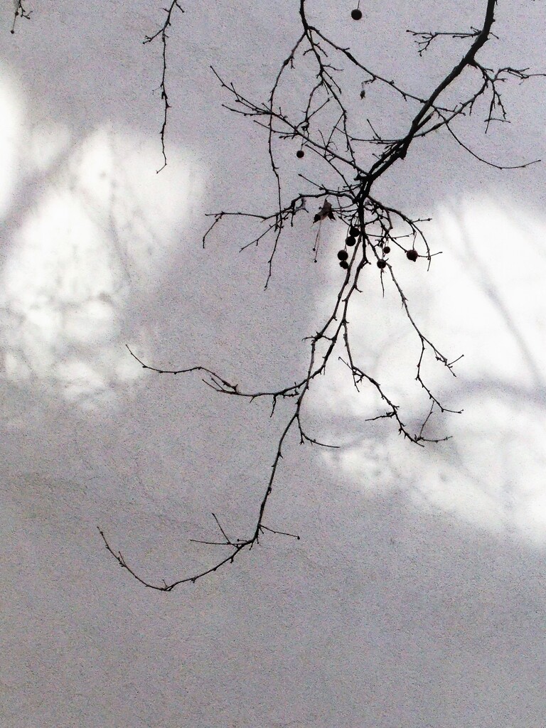 秘めた沢山の思い…