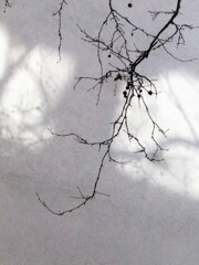 秘めた沢山の思い…