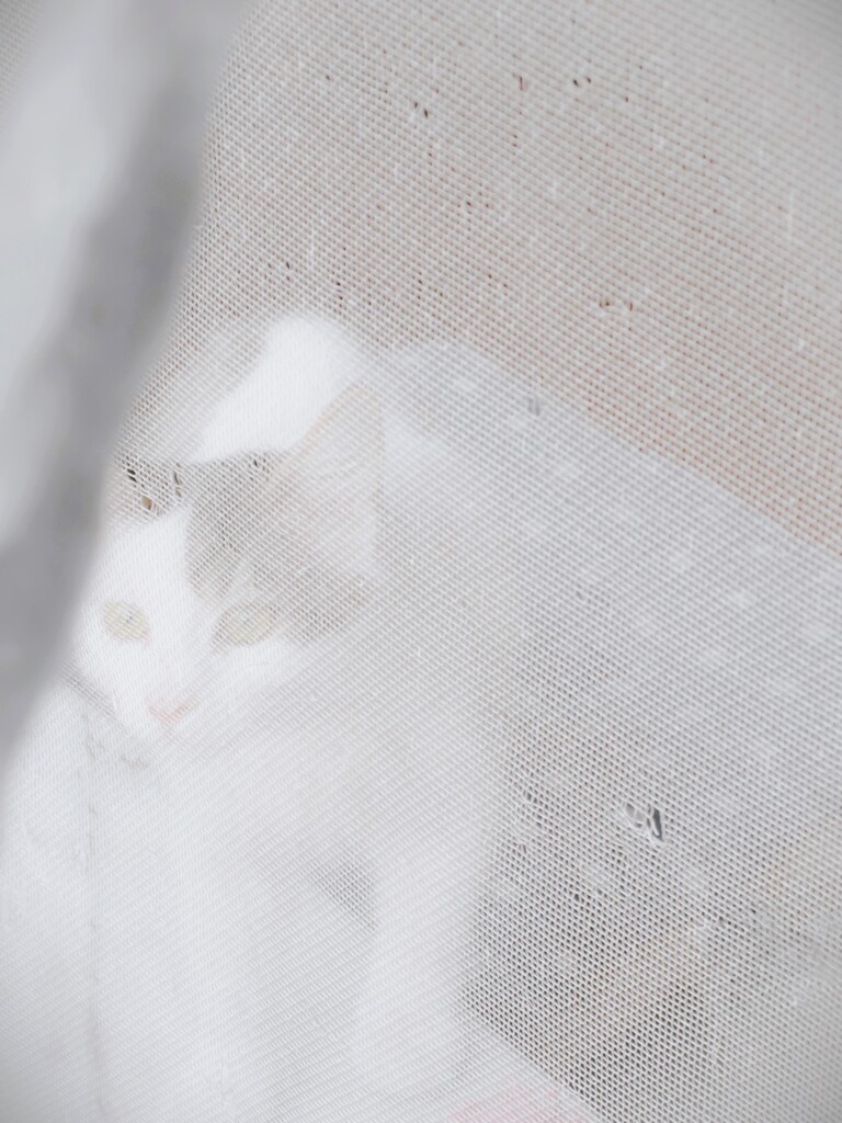 不安＞＞＞好奇心