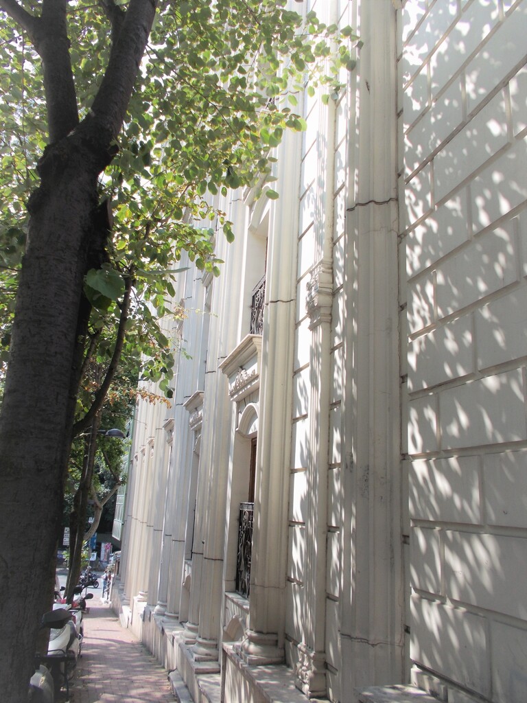 白い光の道の先には…？