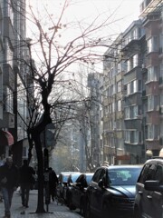 銀色の朝…　遠き春…