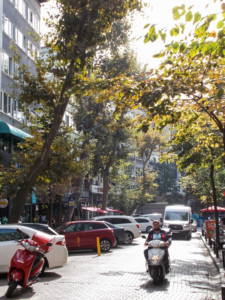 下町　朝の喧騒～