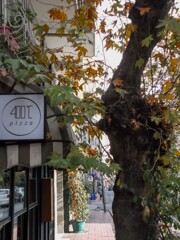 枯葉色ピッザショップと菩提樹～