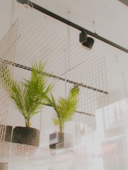 浮き草…　迷い雲…　私と同じ…