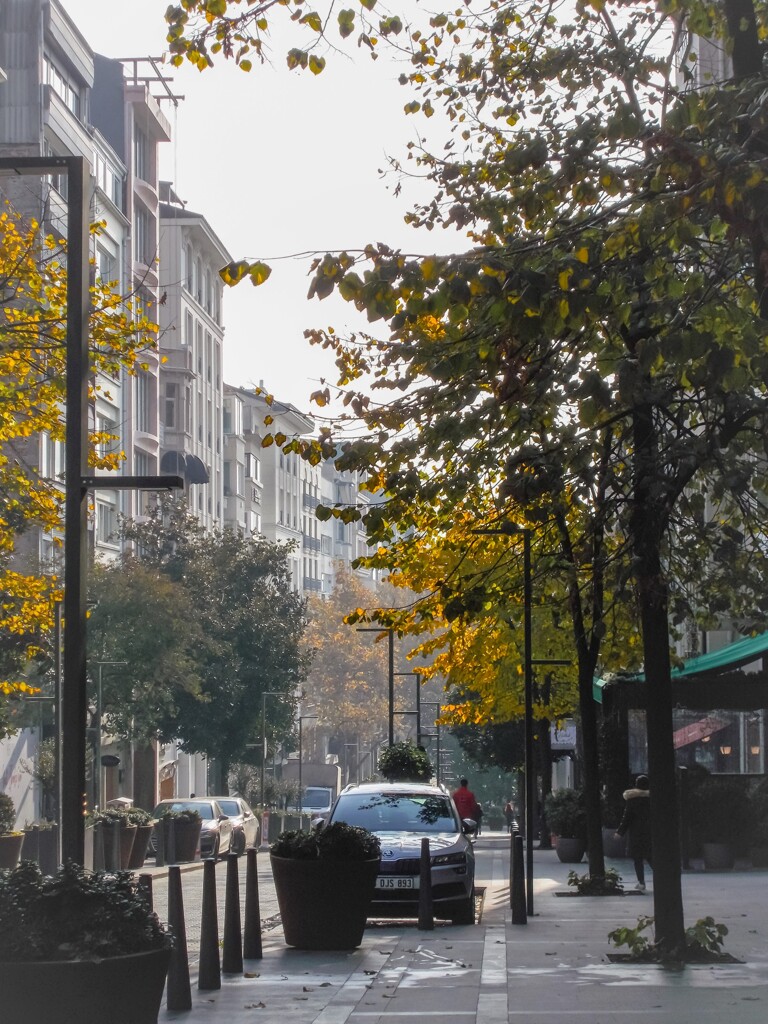 未だ覚め切らない住宅街～☆☽