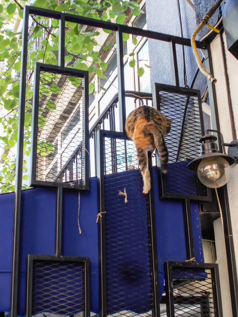 逃亡現場～☆