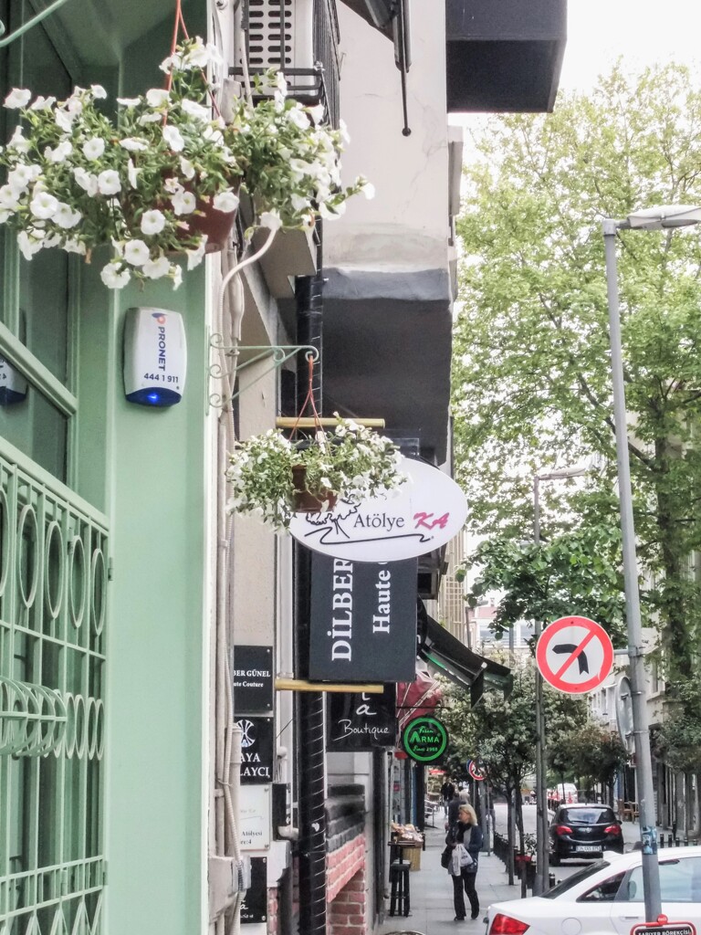 白い花が似合う５月～♪