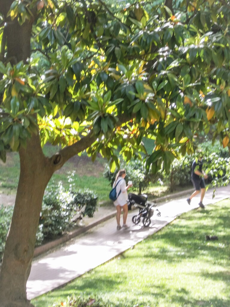 ベビーカーから見た遠い思い出～～